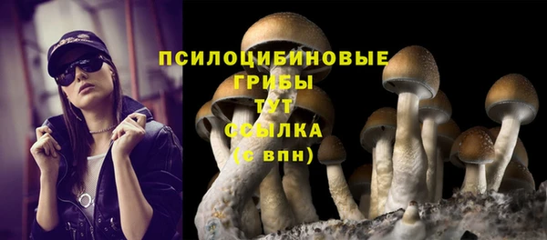 ALPHA PVP Алзамай